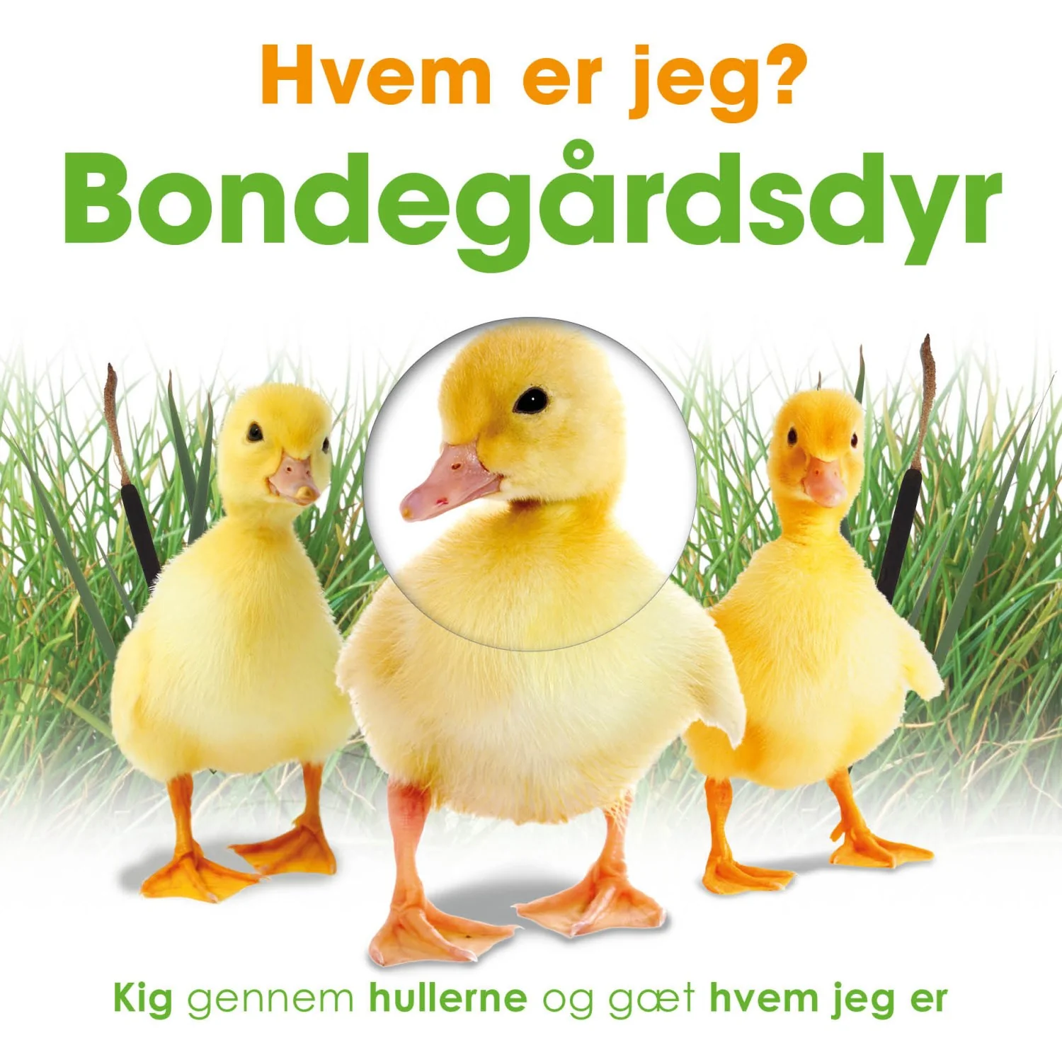 Produktbillede 1